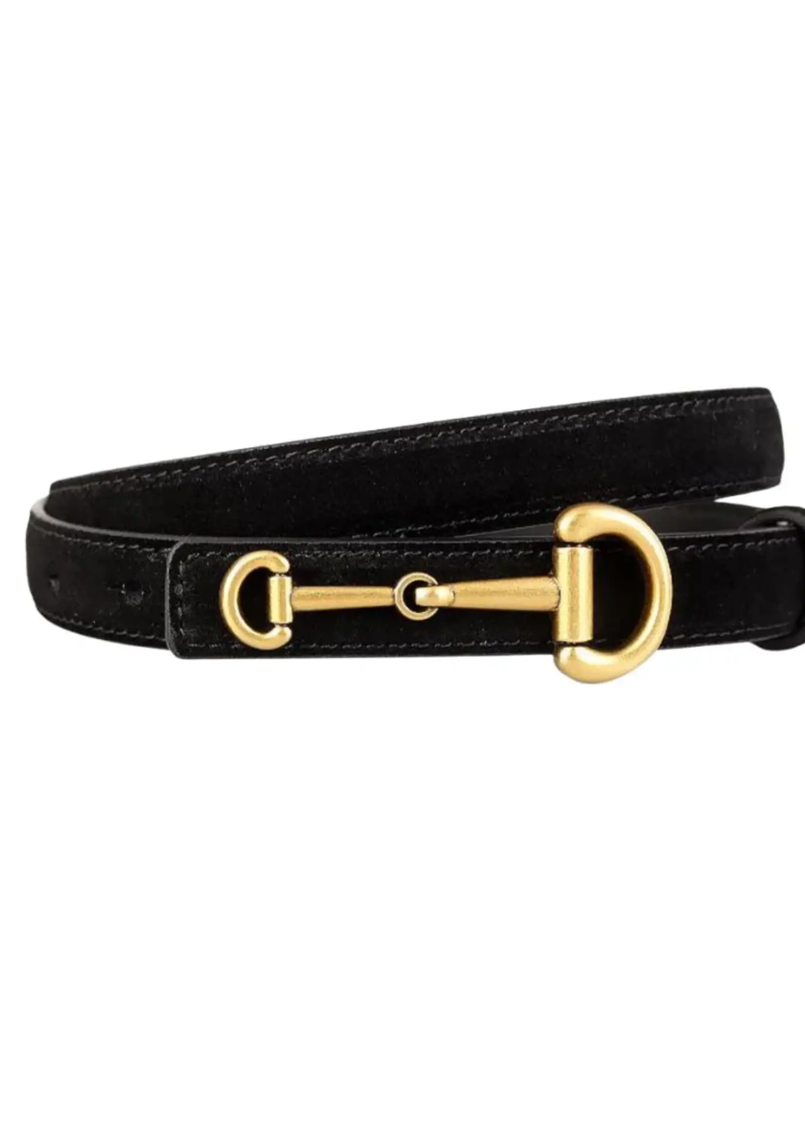 Accessory Concierge Dressage Belt