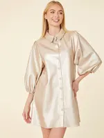 Dolce Cabo Vegan Leather Dress