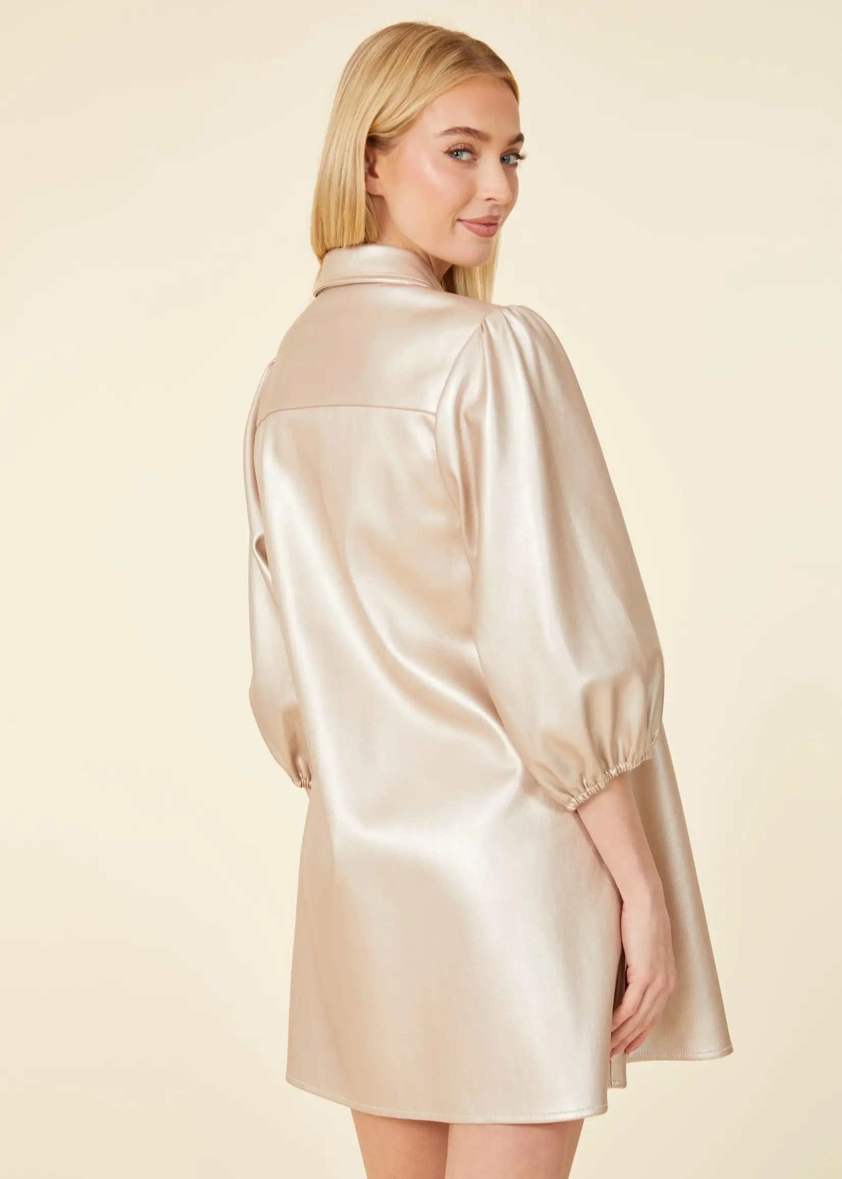 Dolce Cabo Vegan Leather Dress