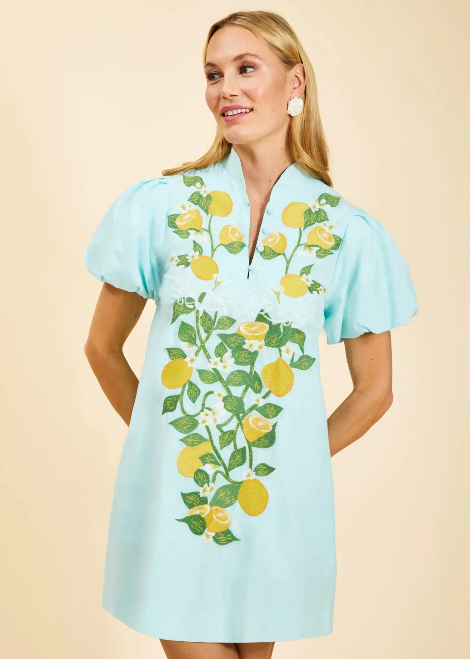 Mestiza Elliana Mini Dress