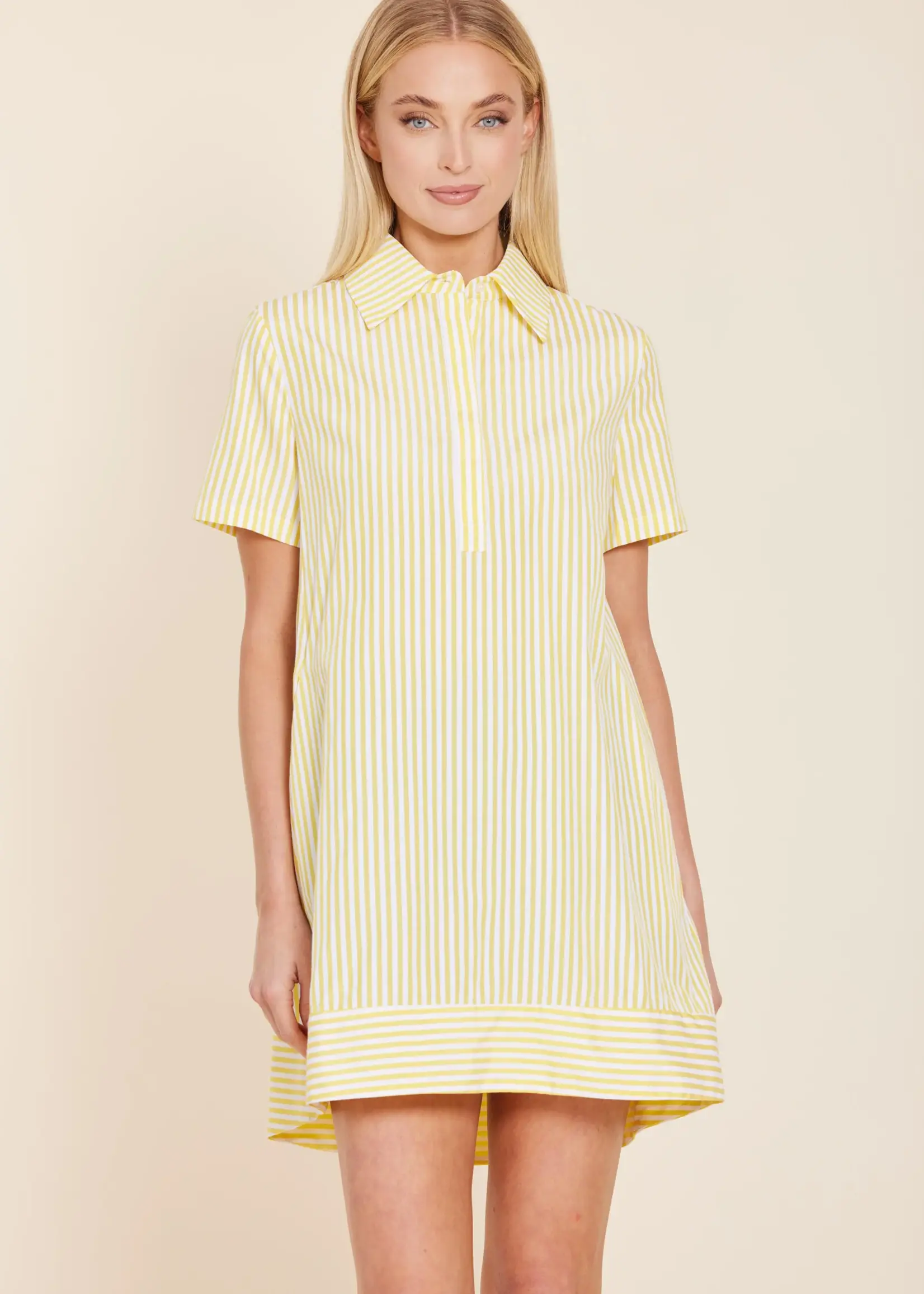 Dolce Cabo Striped Poplin Dress