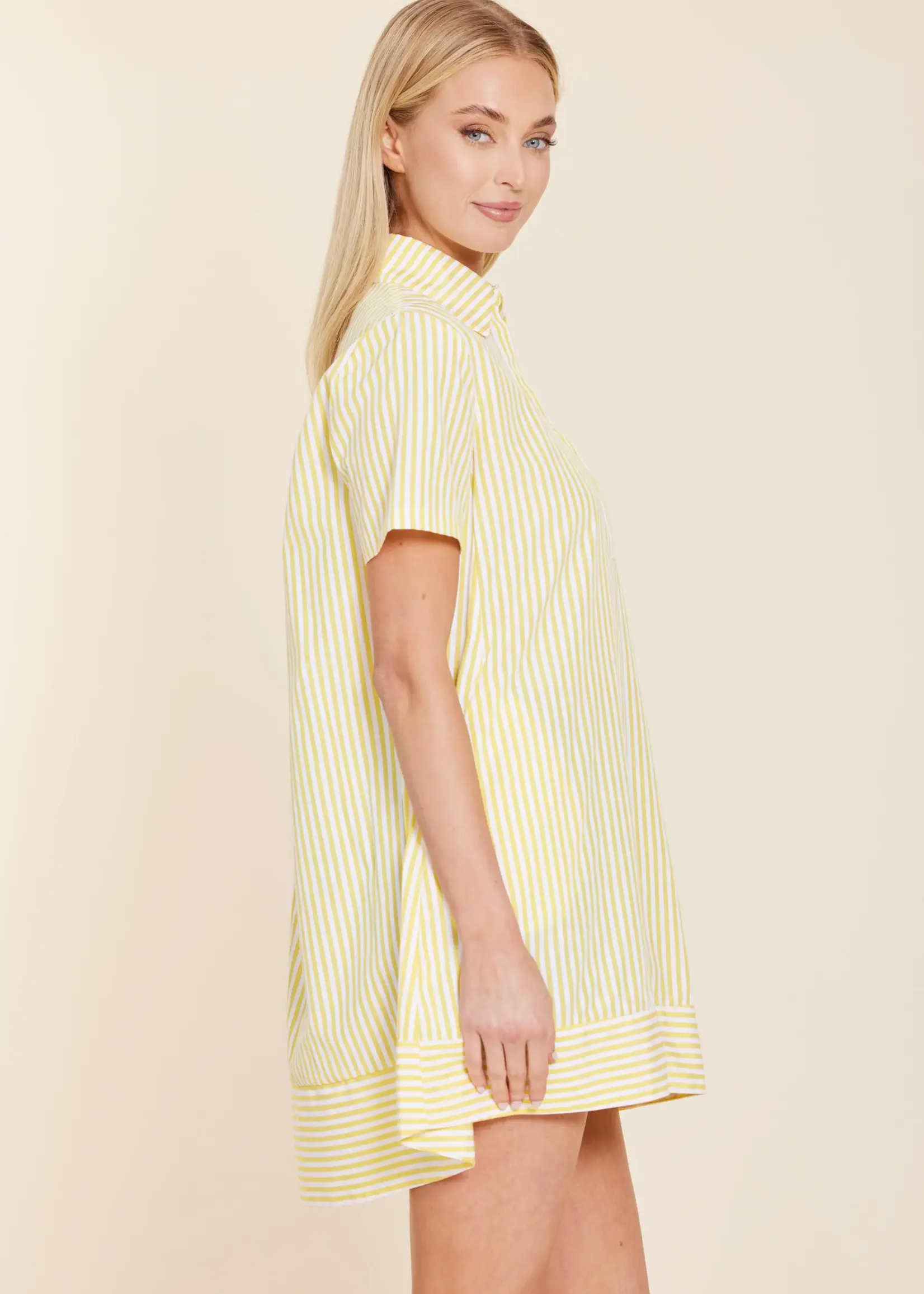 Dolce Cabo Striped Poplin Dress