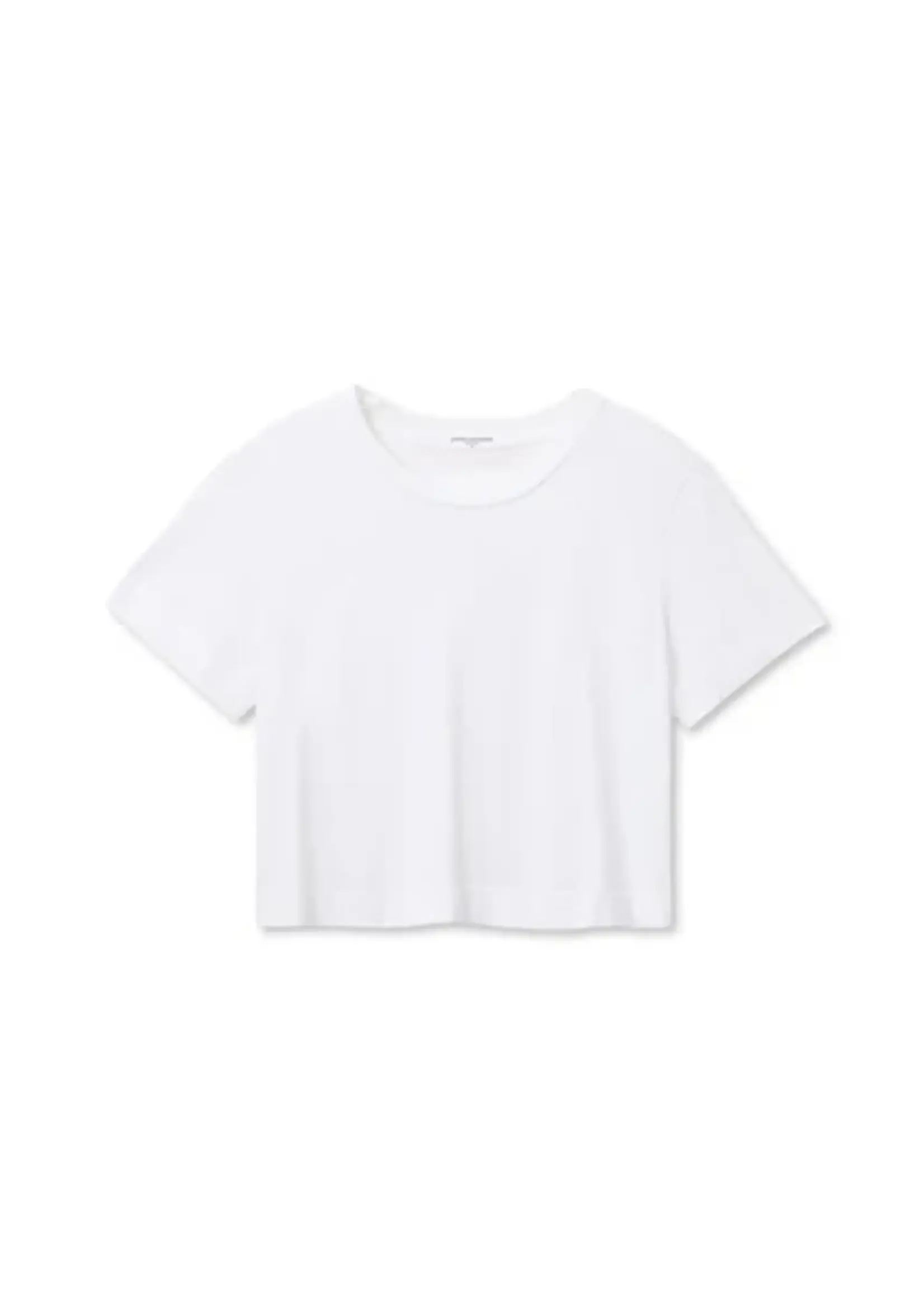 Perfect White Tee Cher Tee