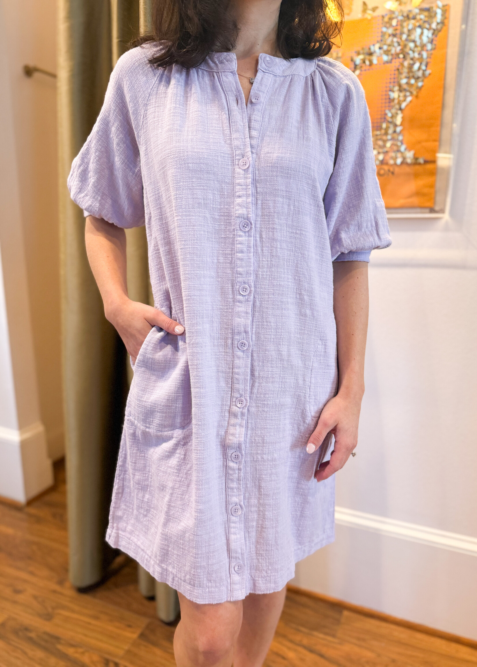 Bobi Bobi Button Front Day Dress