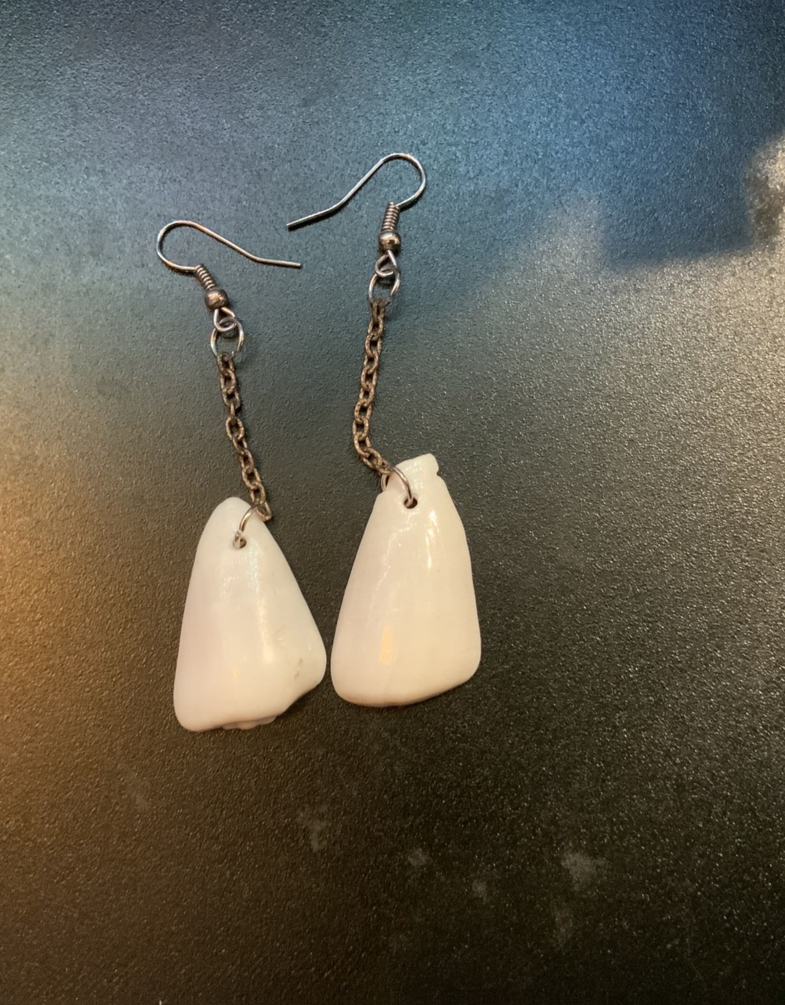 Jewelry - Shell Earrings