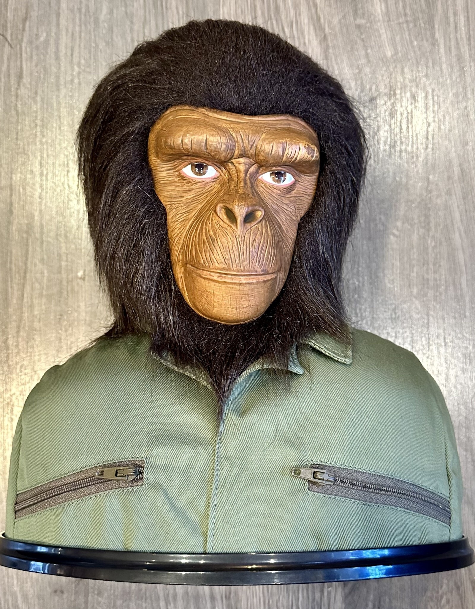 Purple Pigeon Treasures The Ultimate DVD Collection Planet of the Apes with  Limited Edition Cesar  Bust