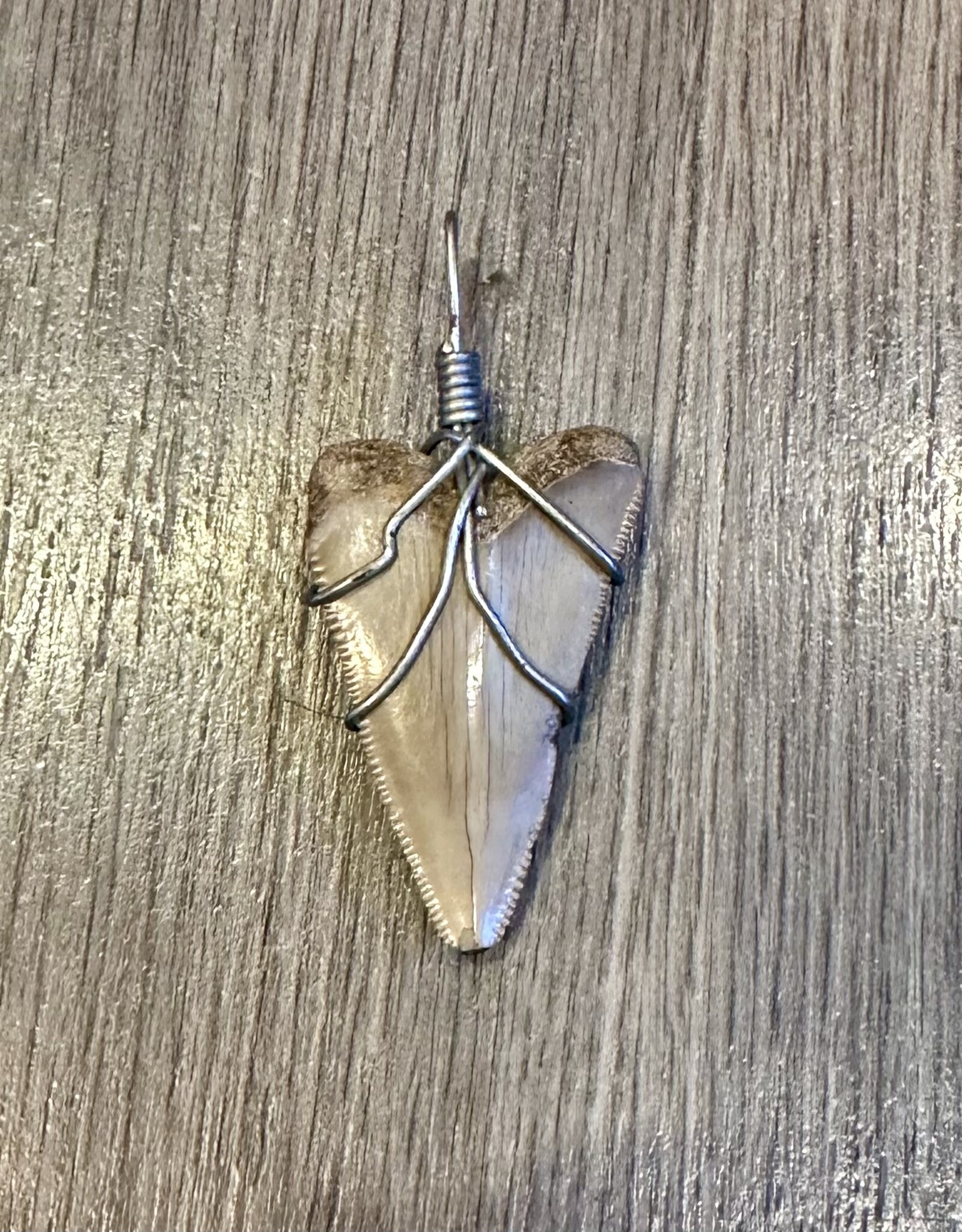 Jewelry - Shark Tooth Pendant