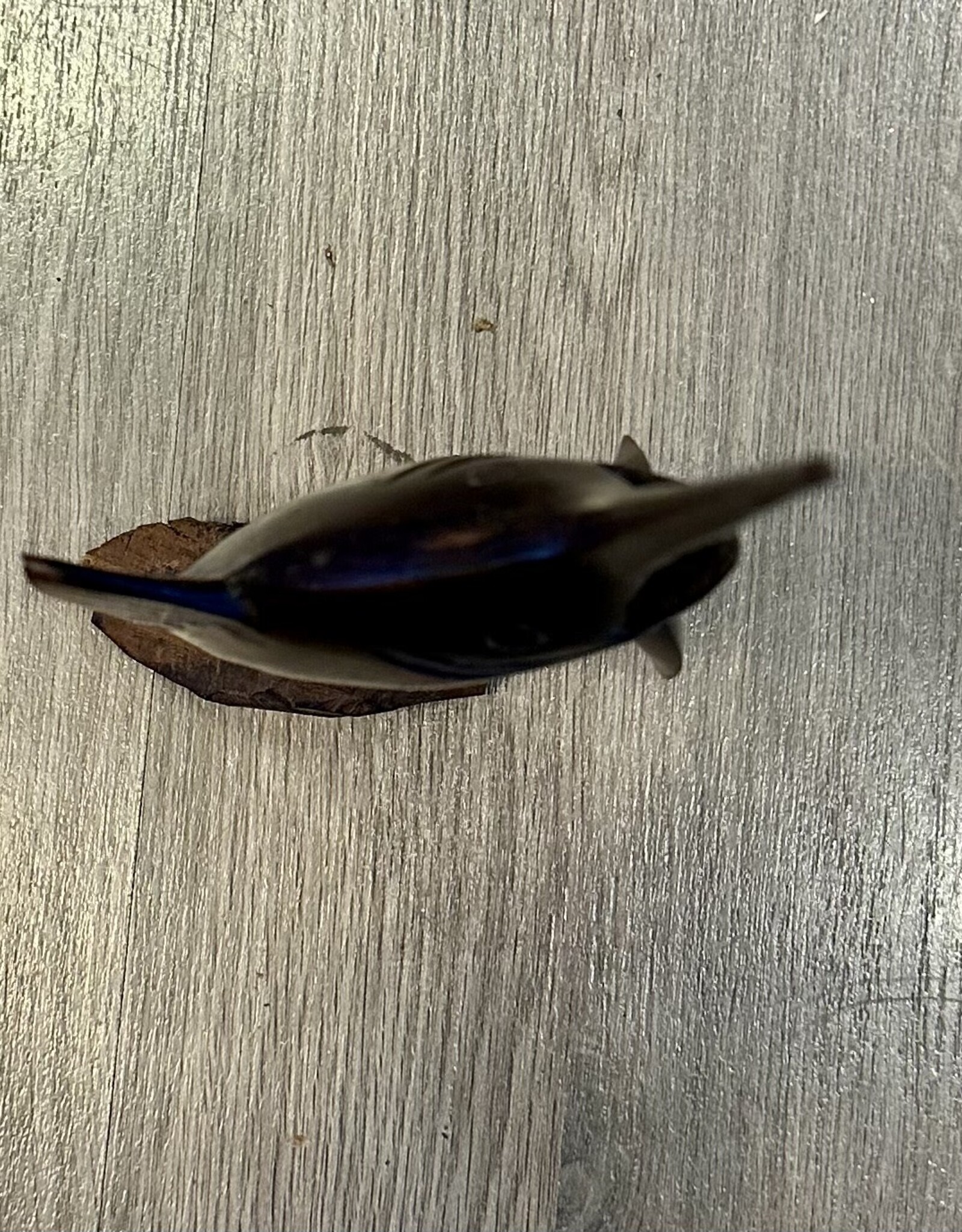 Purple Pigeon Treasures Swordfish Carving