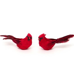 Meravic SALE Cardinal 6.5" on Clip