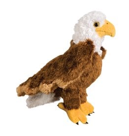 Douglas Colbert Bald Eagle