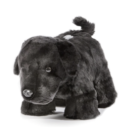 Carstens Black Lab Plush Coin Bank
