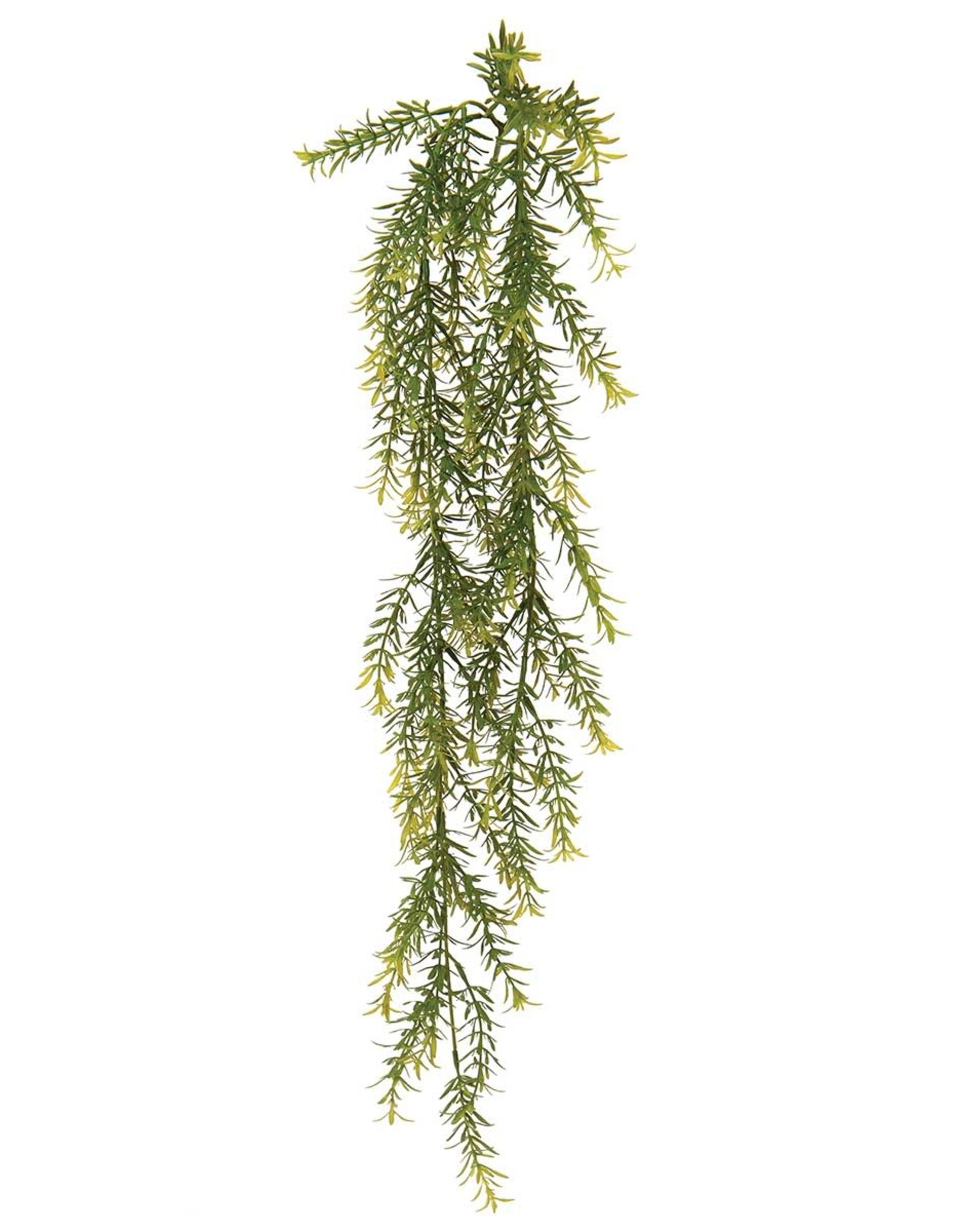 Meravic Springeri Hanging Bush - 28" Dark Green