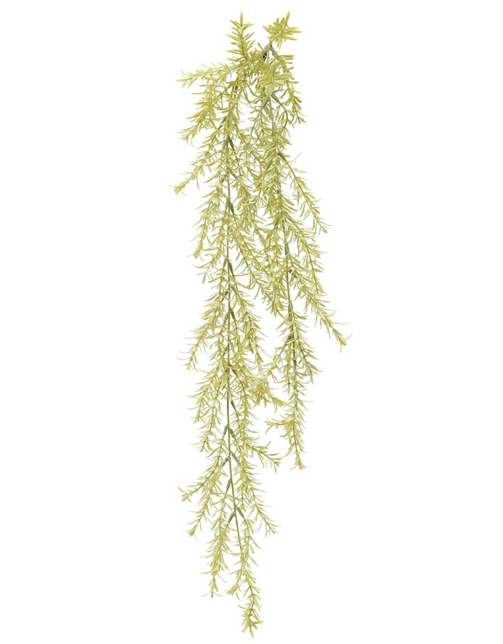 Meravic Springeri Hanging Bush - 28" Light Green