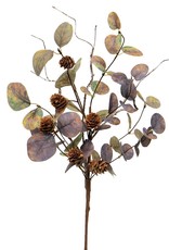 Meravic Silver Dollar Eucalyptus Floral w/ Pinecones 19.5" - Brown