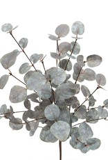 Meravic Silver Dollar Eucalyptus Bush 21.5" - Grey