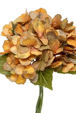 Meravic Fall Hydrangea Bundle - Mustard