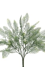 Meravic SALE Mimosa Bush 11"x16"
