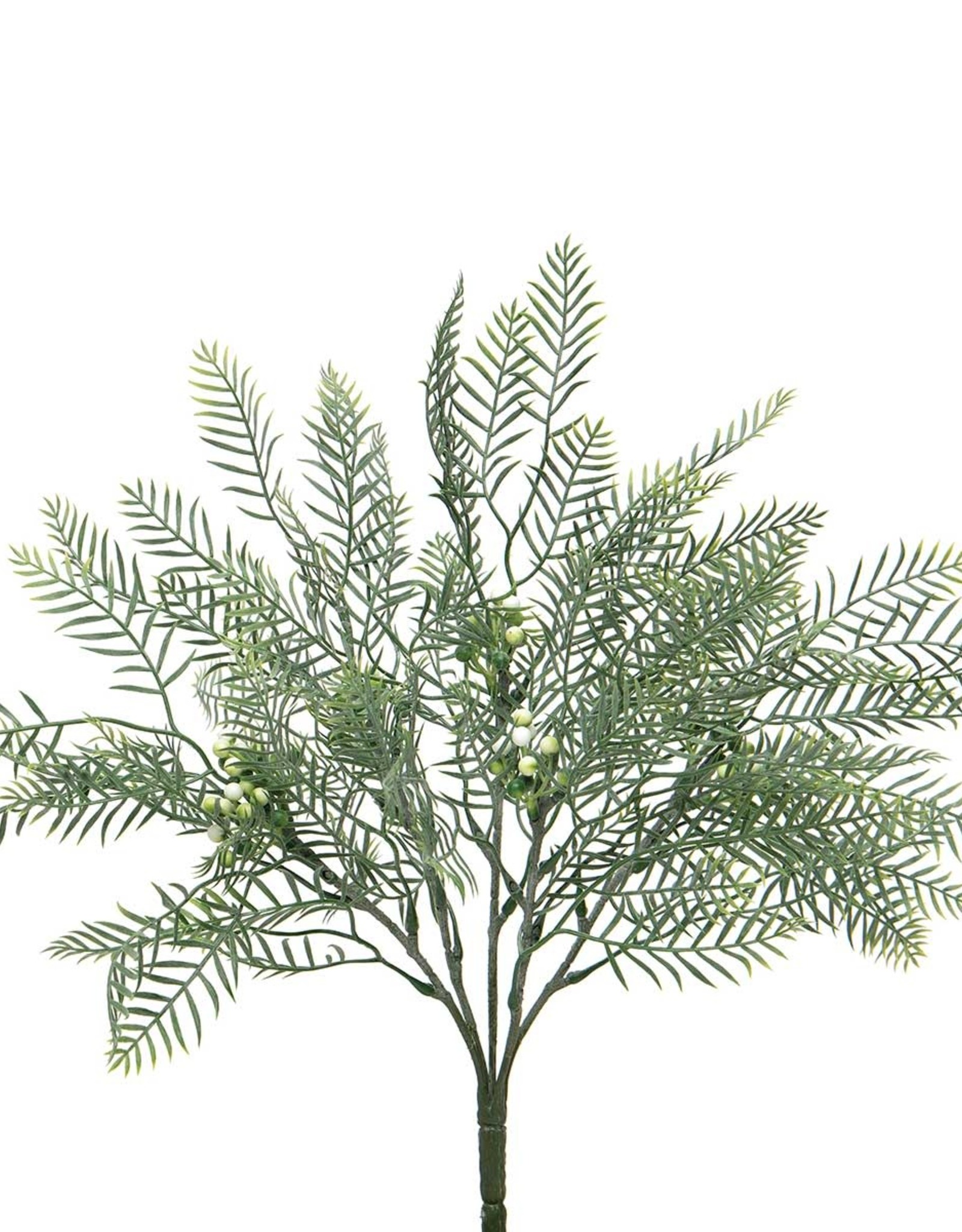 Meravic SALE Mimosa Bush 11"x16"