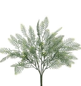 Meravic SALE Mimosa Bush 11"x16"