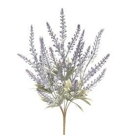 Meravic Lavender Sage Bush