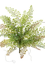 Meravic 18" Maidenhair Fern Bush