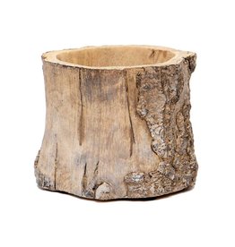 Meravic 4.5" Concrete Log Pot