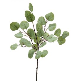 Meravic 22" Silver Dollar Eucalyptus Bush