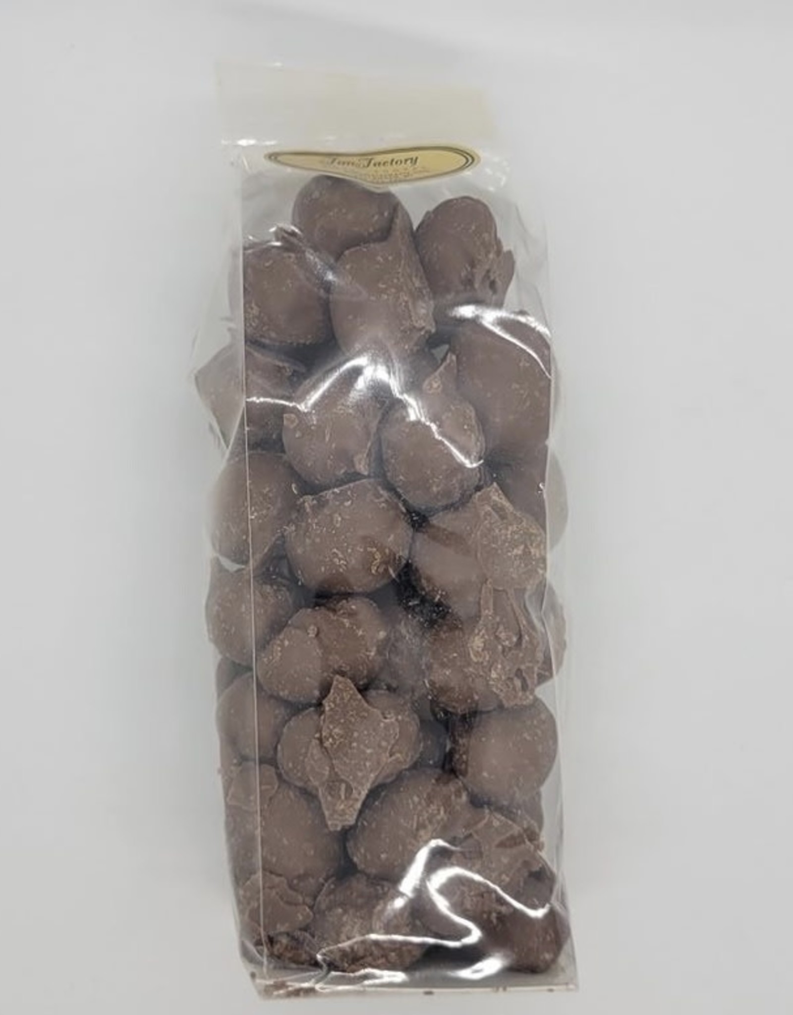 Fun Factory Sweet Shoppe Chocolate Covered Peanuts- Half Pound
