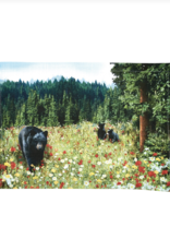 Park Designs SALE Placemat - Hello Bear
