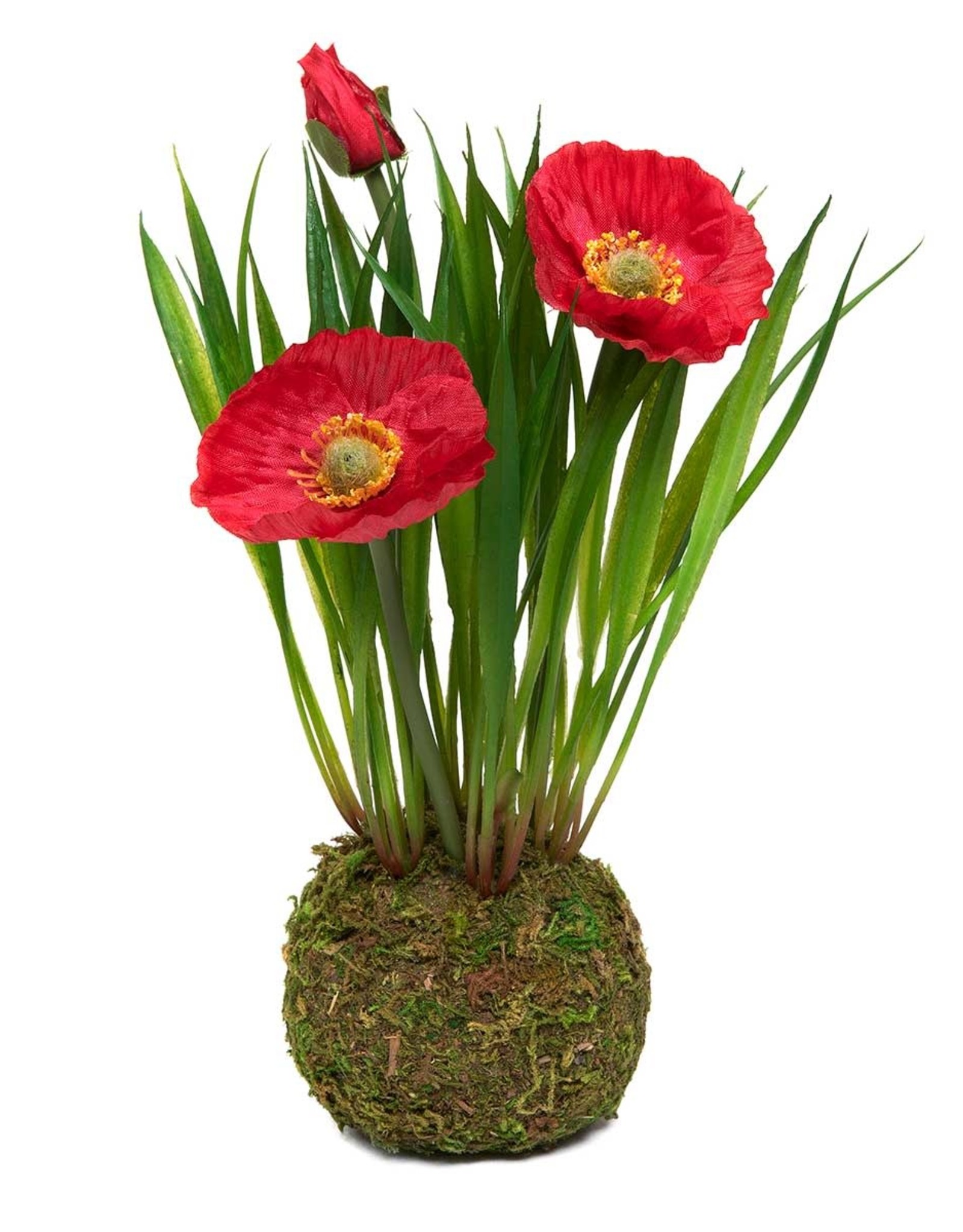 Meravic 8.5" Poppy Red with Faux Dirt