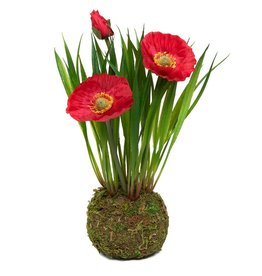 Meravic 8.5" Poppy Red with Faux Dirt