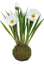 Meravic 8.5" Poppy White with Faux Dirt