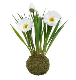 Meravic 8.5" Poppy White with Faux Dirt