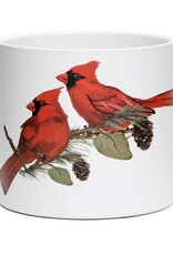 Meravic 5.25" Cardinal Duo on Branch Pot