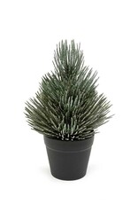 Meravic 8" Frosted Pine Tree in Pot