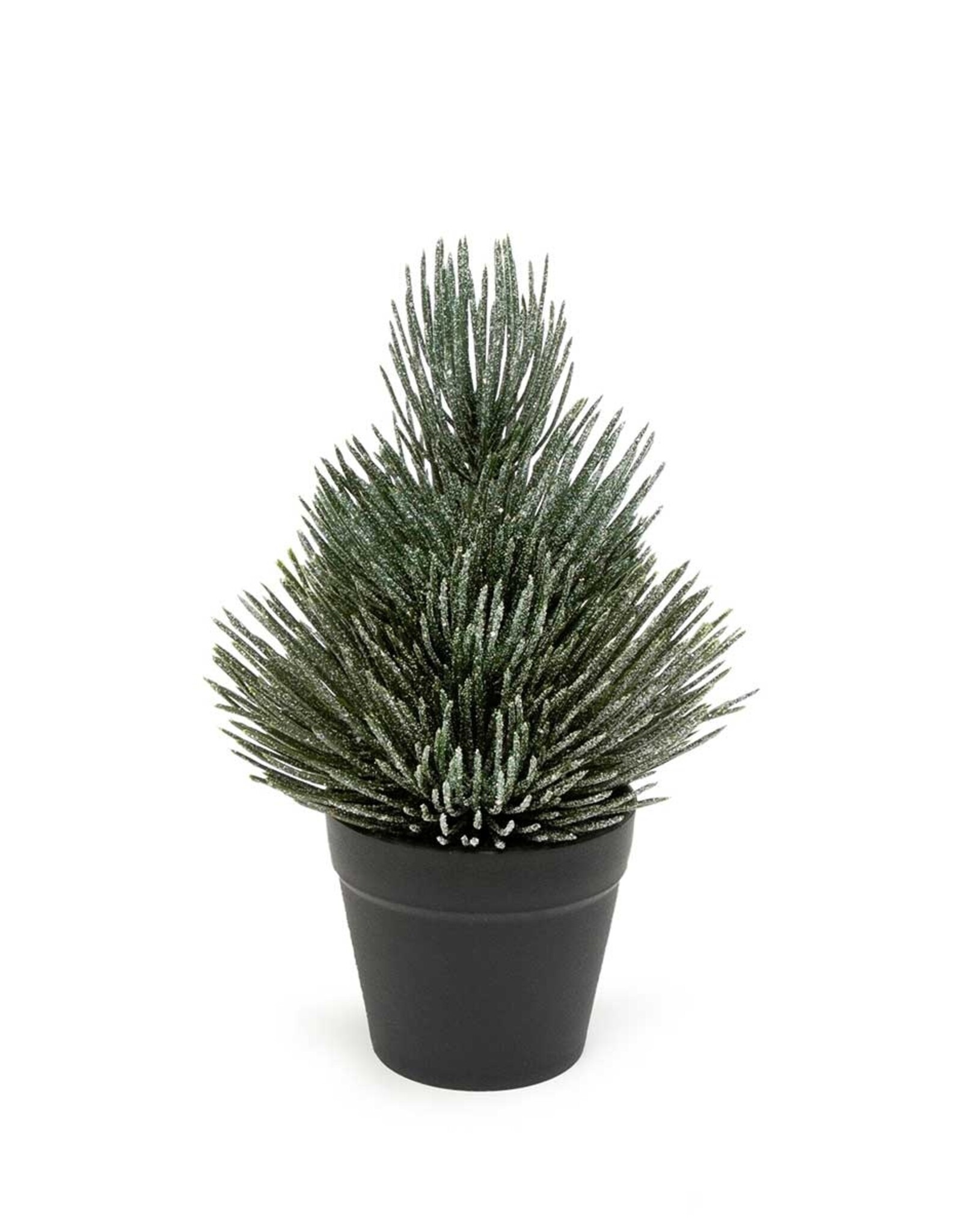 Meravic 8" Frosted Pine Tree in Pot