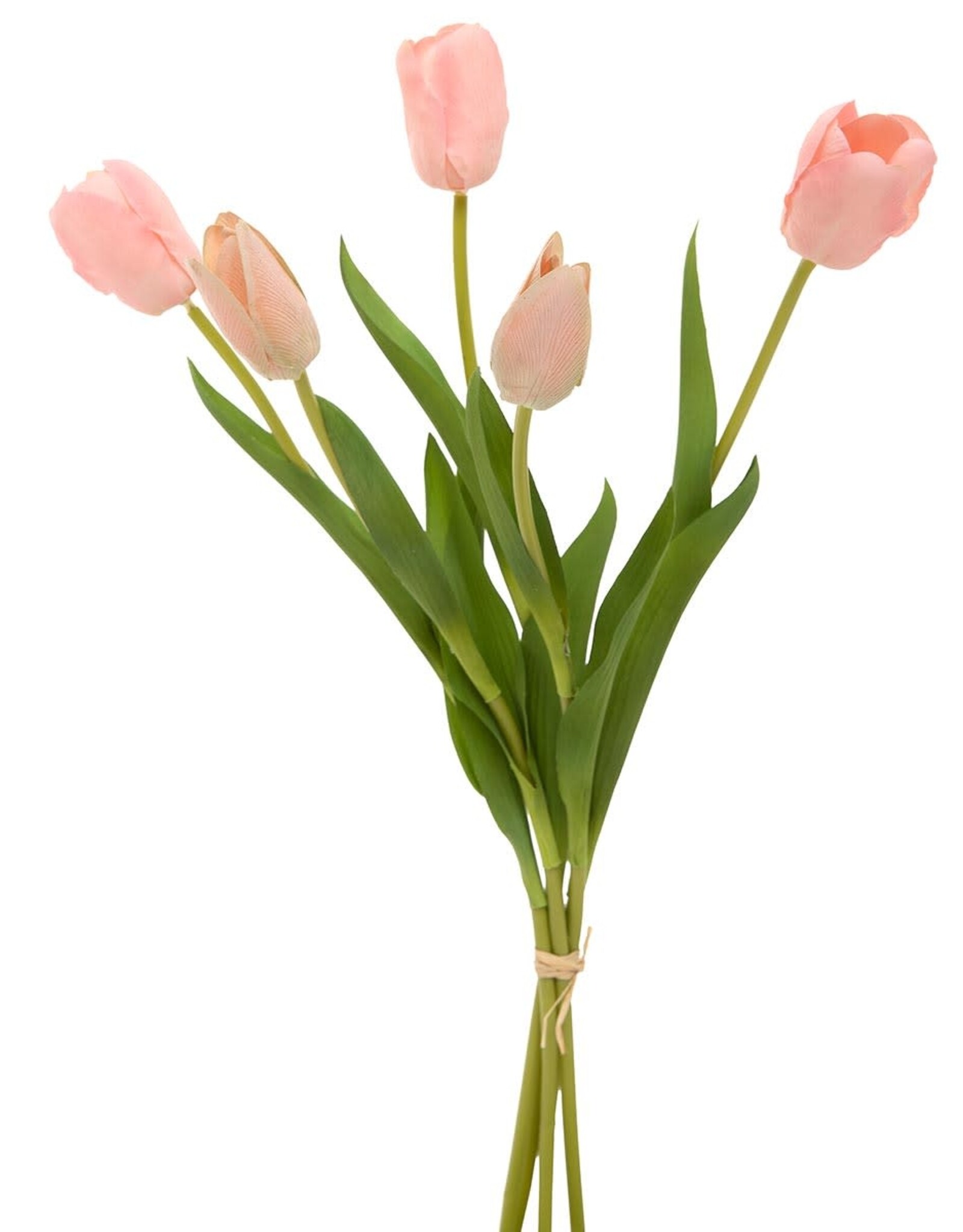 Meravic Dutch Tulip Bundle tied w/ Raffia - Pink