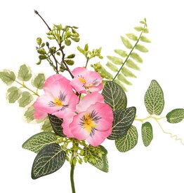 Meravic Pansy Foliage Pik - Pink