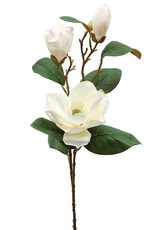 Meravic Southern Magnolia Spray - White