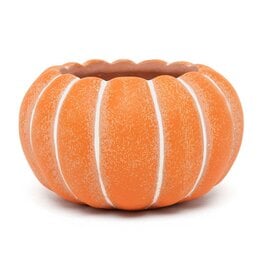 Meravic 6" Round Pumpkin Concrete Pot