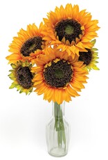 Meravic 14" Golden Sunflower Bundle tied w/ Raffia