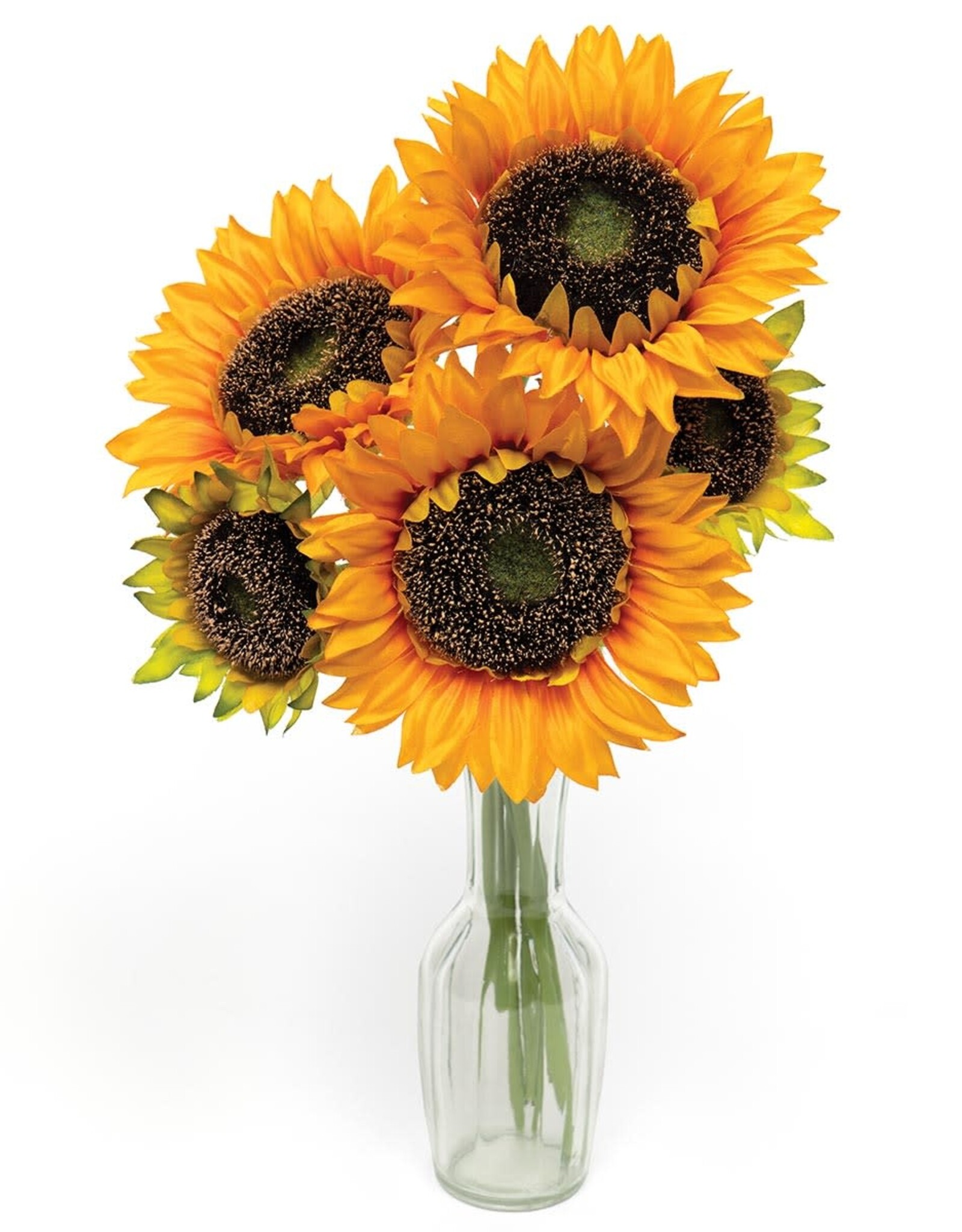 Sunflower Bundle