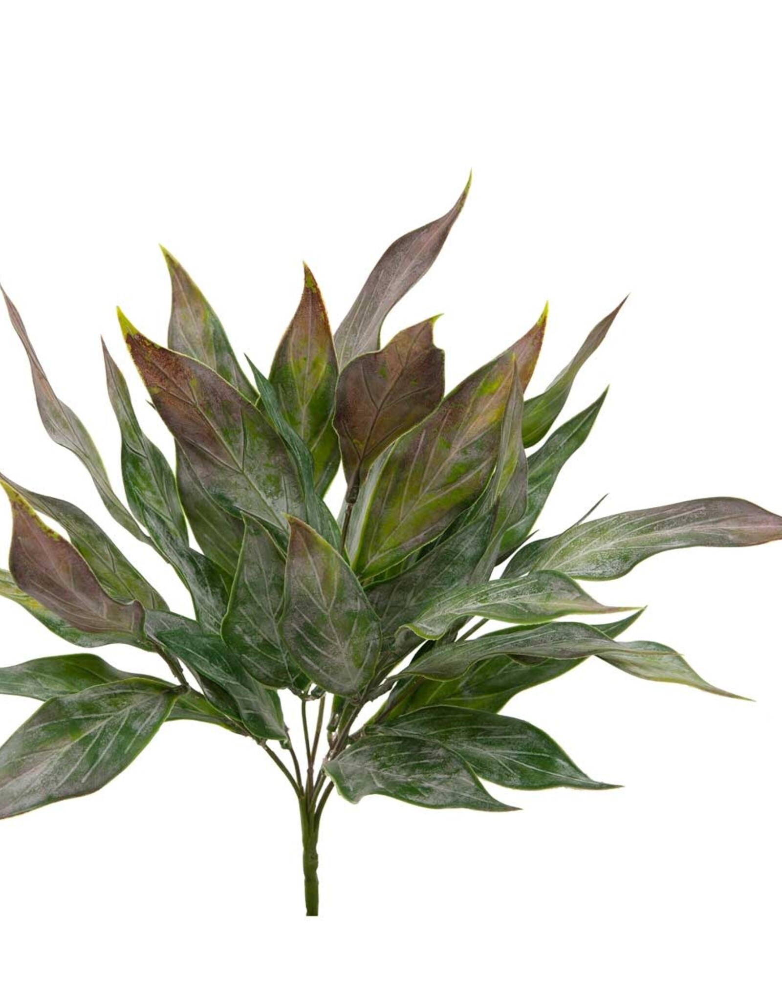 Meravic 15" Bush Sword Leaf - Dark Green