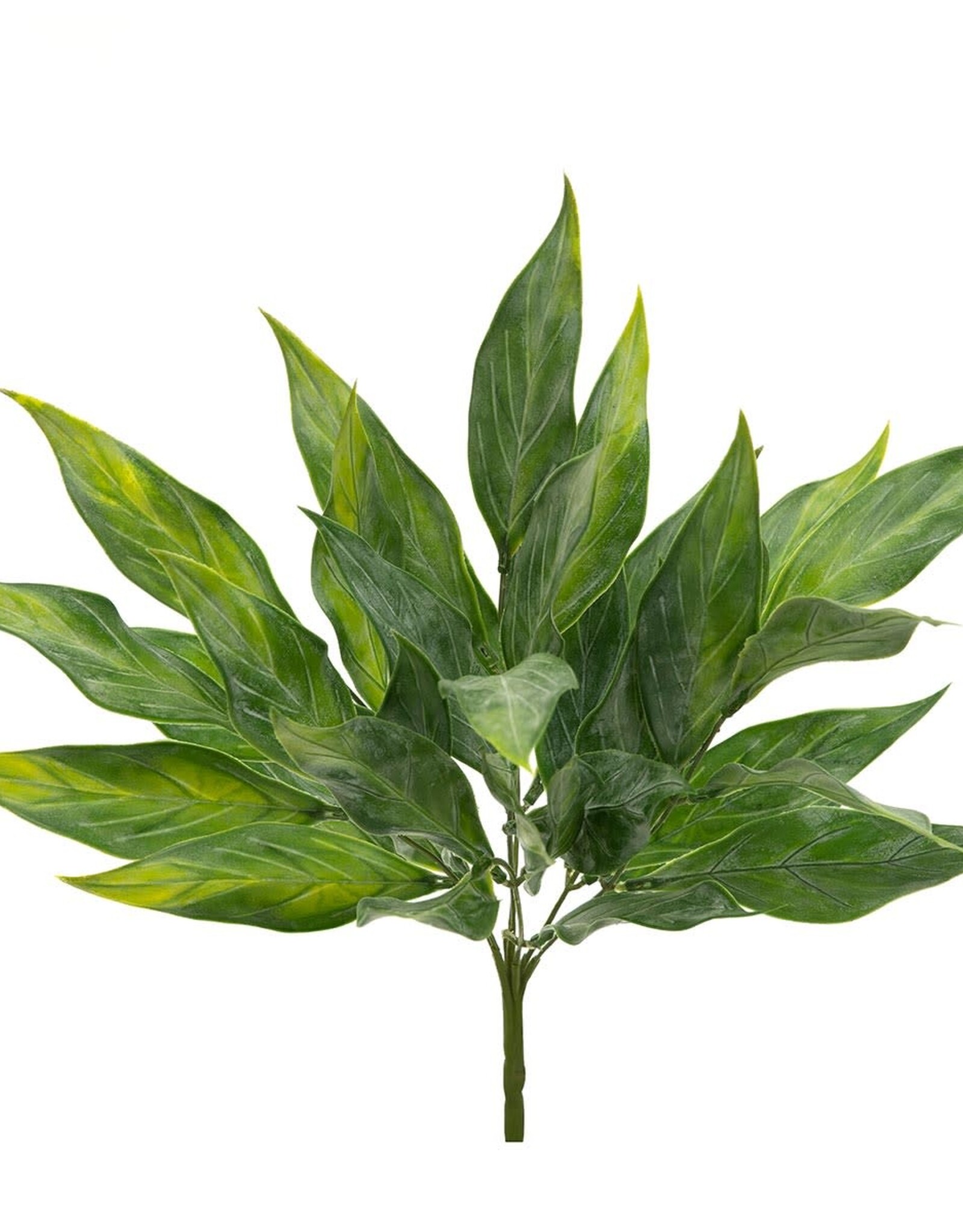 Meravic 15" Bush Sword Leaf - Green