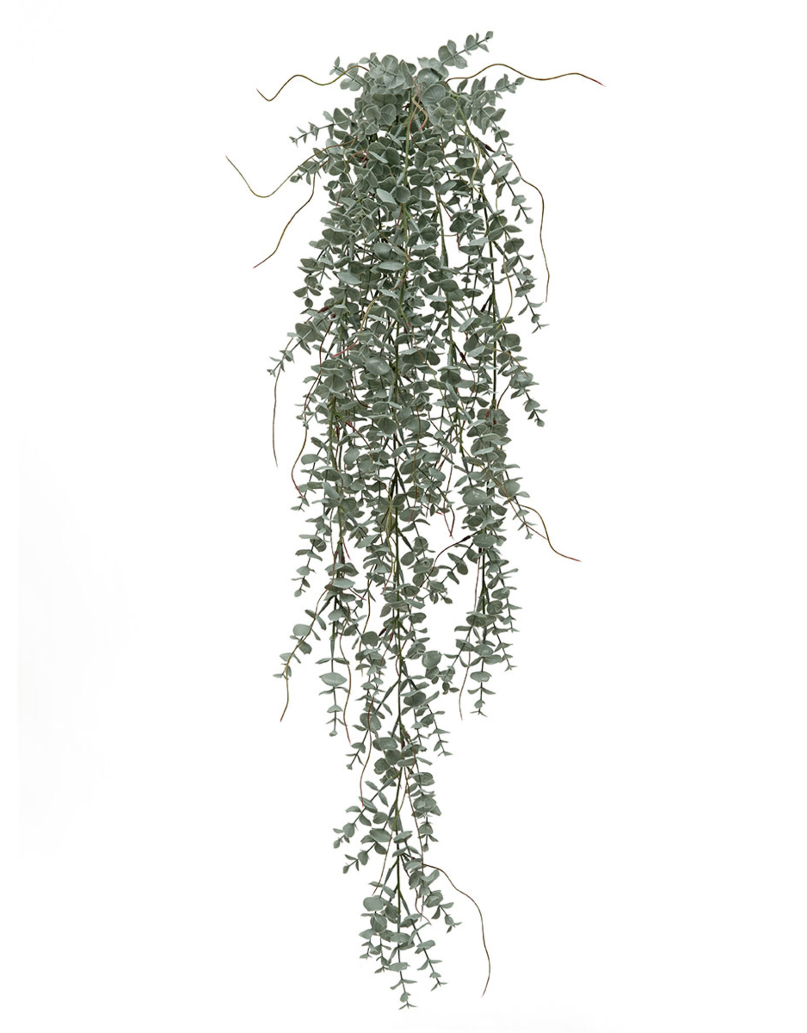 Meravic 37" Hanging Eucalyptus Bush w/ Twigs
