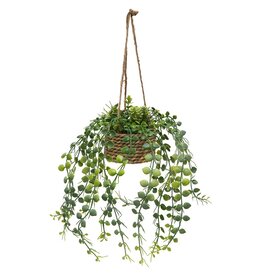 Meravic SALE 11" Sedum and Button Leaf Hanging Pot