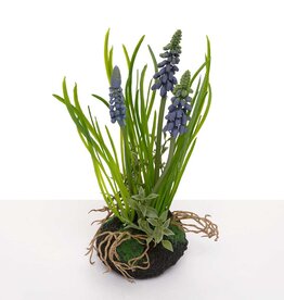 Meravic 8" Blue Grape Hyacinth with Faux Dirt