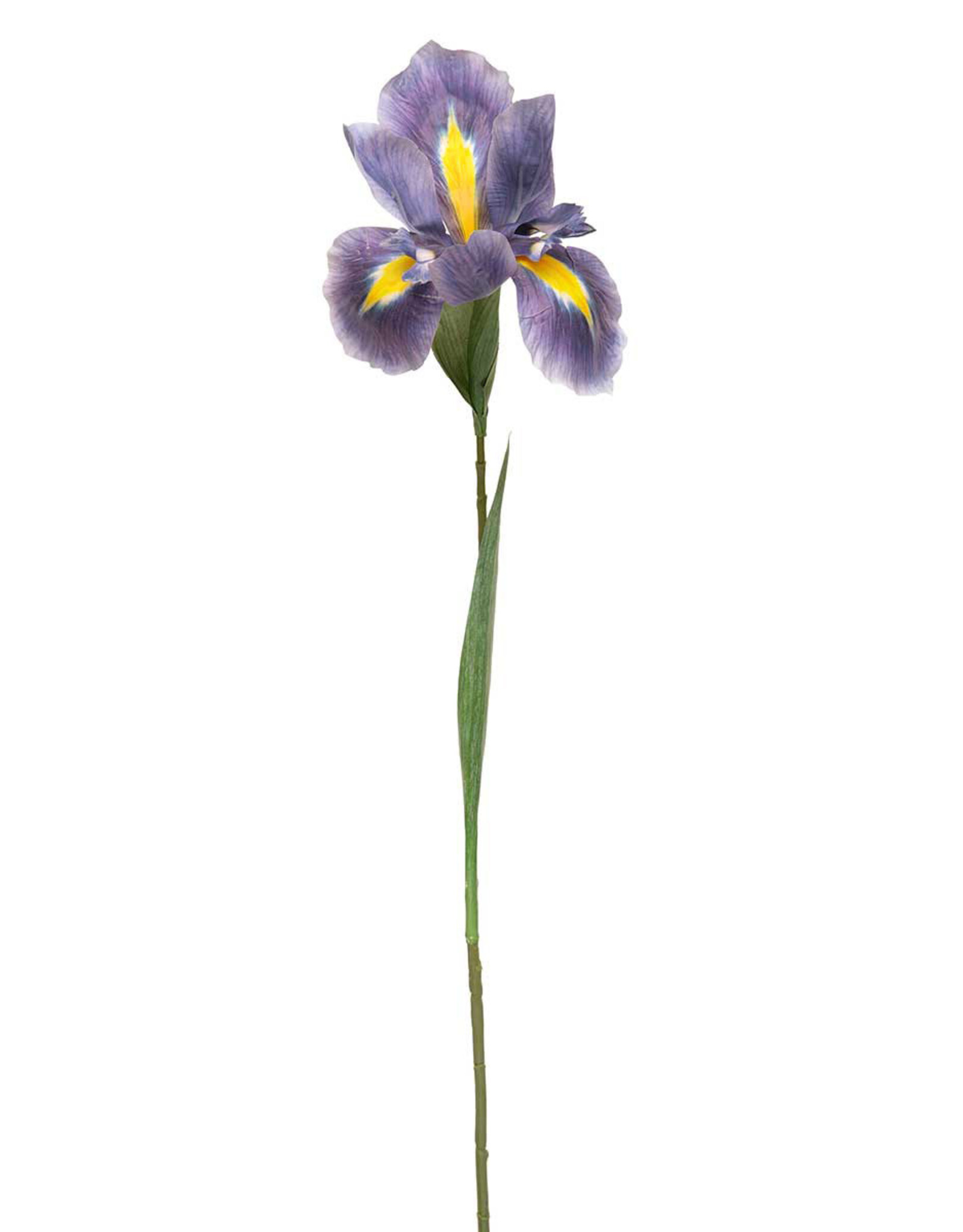 Meravic 31" Dutch Iris Stem - Purple