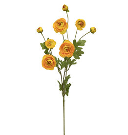 Meravic 34" Ranunculus Spray - Yellow