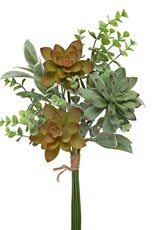 Meravic 16" Bundle of 8 Succulents